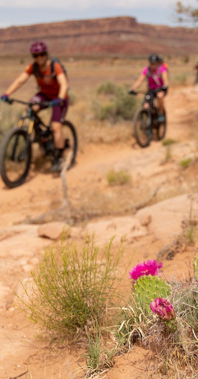 SHREDLY + Momentum Mountain Biking Retreat in Moab, UT
