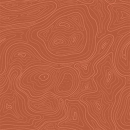 Topo Image