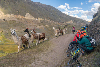 2025 Guided Mountain Biking Tours with World Ride - SHREDLY