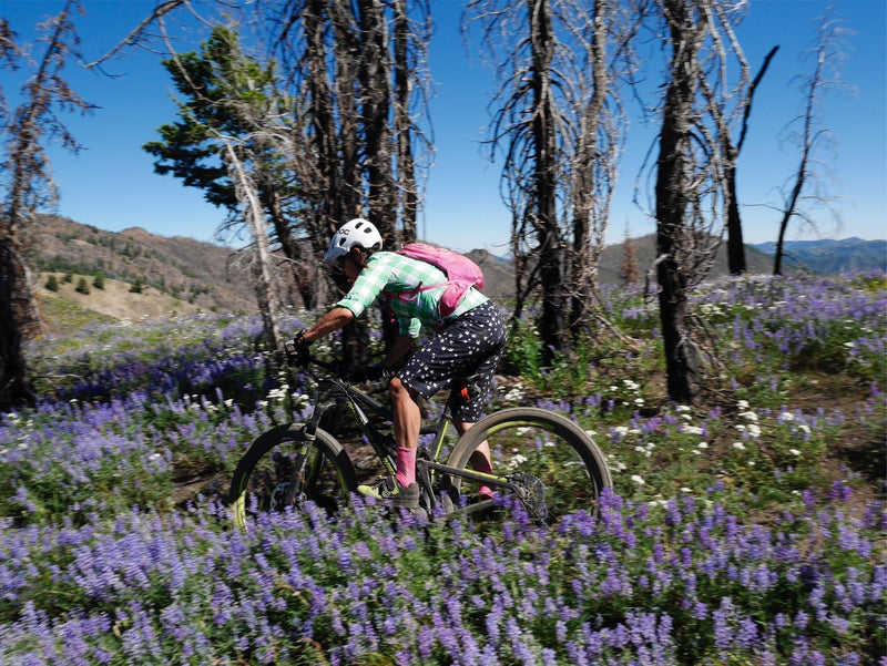 Fitting Training Into a Busy Life - SHREDLY