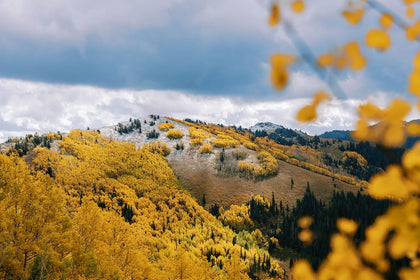 Our Favorite Fall Leaf Viewing Spots - SHREDLY