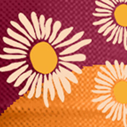 Raspberry / Clementine Image