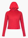 SHREDLY - Cropped Mesh Long Sleeve Hoodie : Cherry - image
