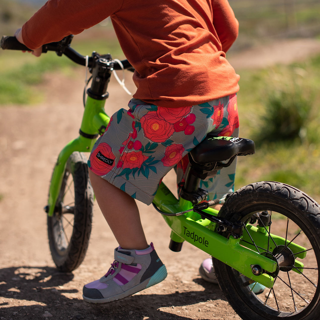 Shredly dinosaur 2025 shorts