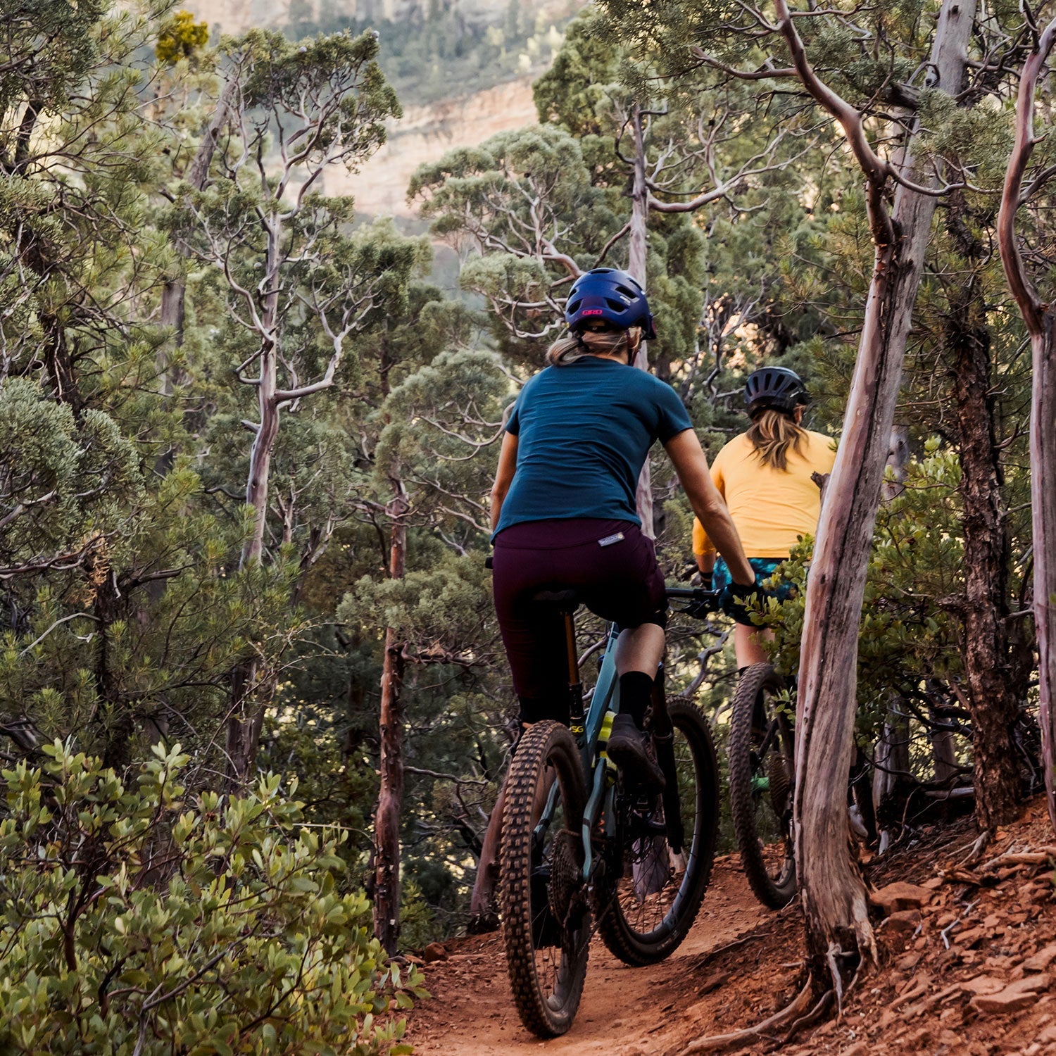 shredly women's mtb shorts